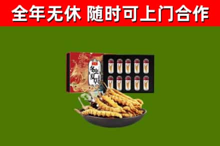 潞州区回收冬虫夏草价格